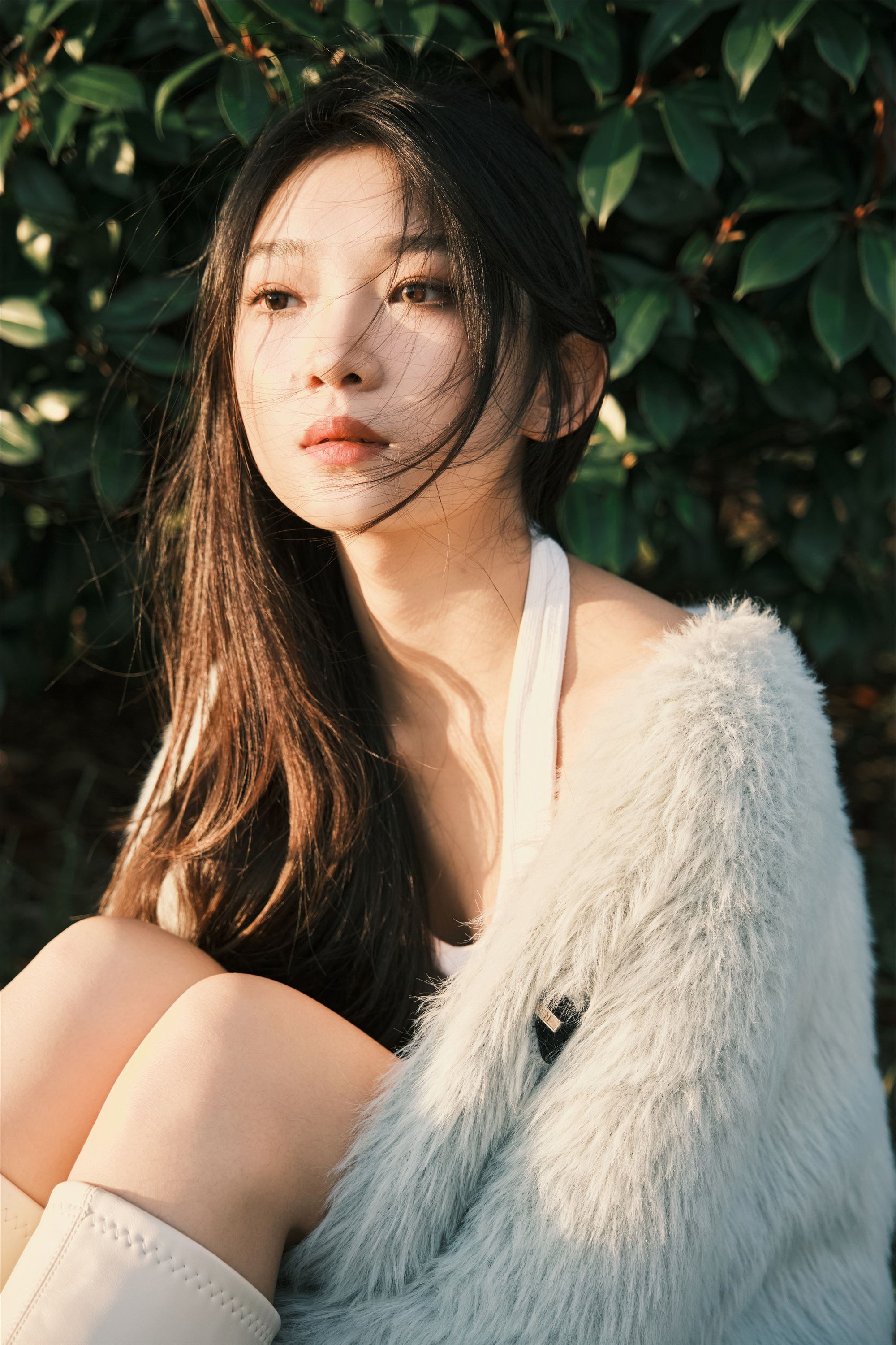 YITUYU艺图语 2025.01.03 湖边 一只狸猫